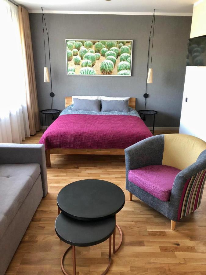 Kaktuss Apartamenti Смилтене Екстериор снимка