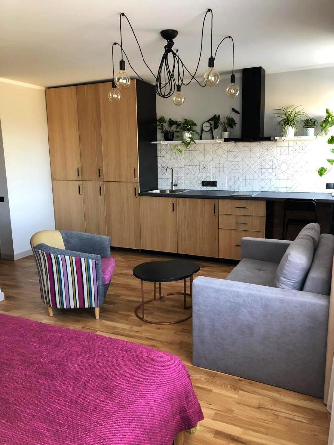 Kaktuss Apartamenti Смилтене Екстериор снимка