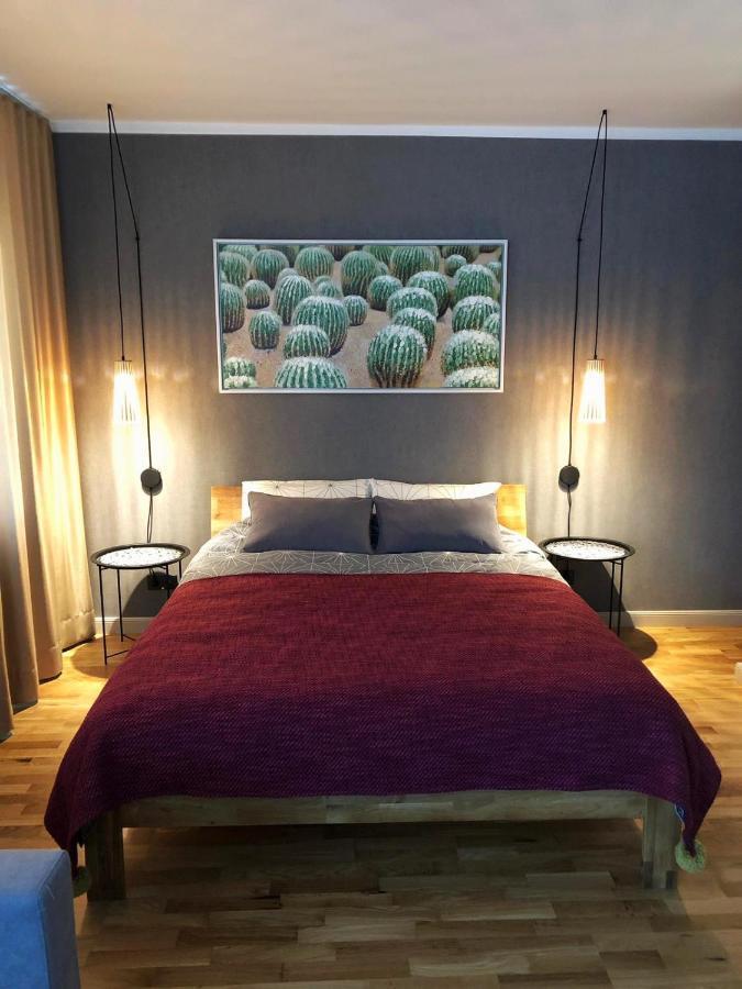 Kaktuss Apartamenti Смилтене Екстериор снимка